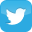 Twitter follow icon